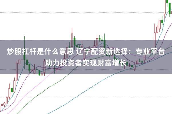炒股杠杆是什么意思 辽宁配资新选择：专业平台助力投资者实现财富增长